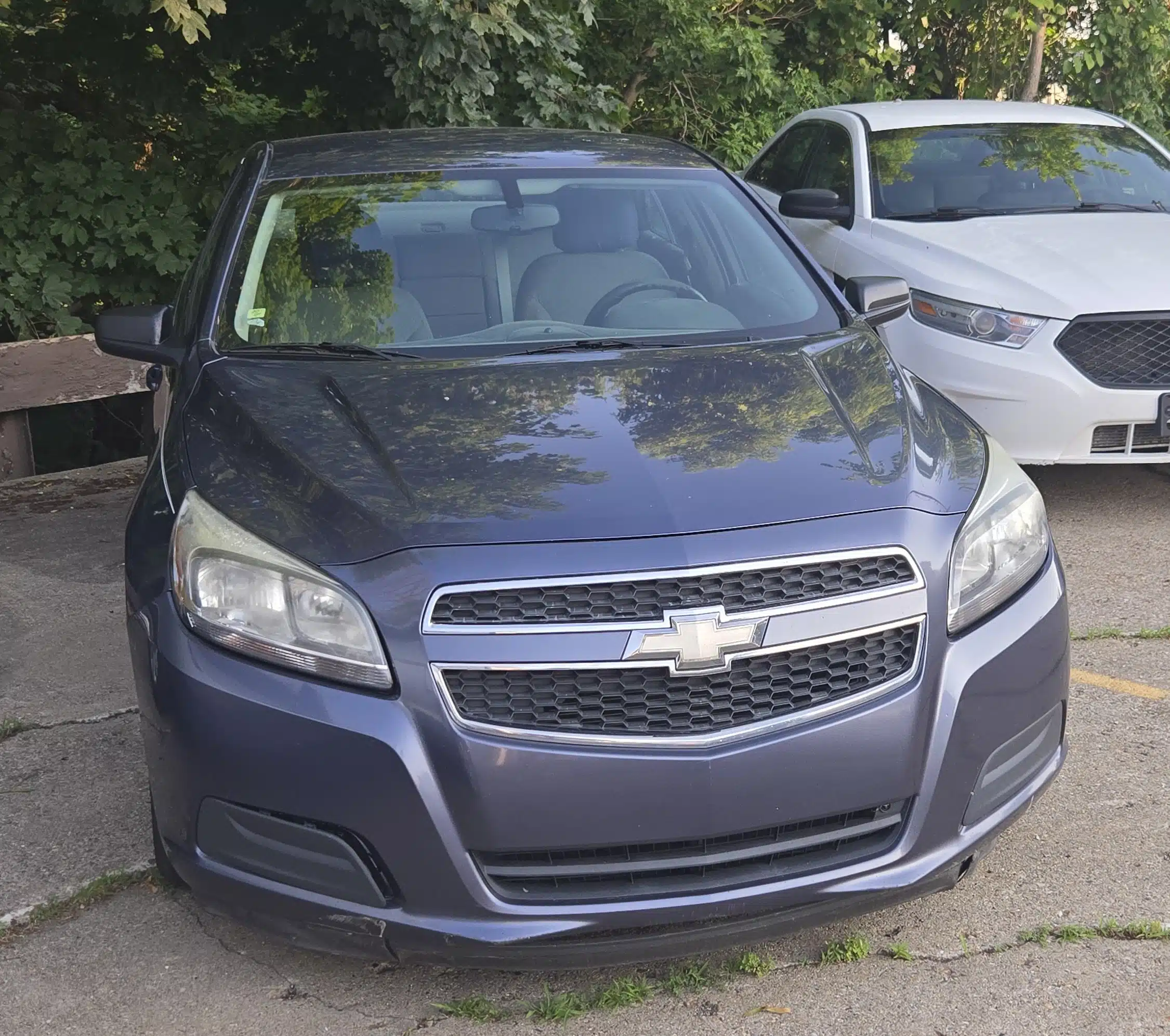 
								2013 Chevrolet Malibu LS full									